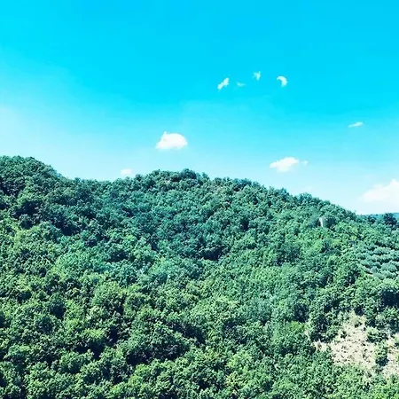 Casetta Di Rosella - Casa Vacanze Nel Parco Del Pollino In Basilicata *